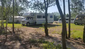 Camp Casel - Wohnmobil- und Wohnwagenstellplätze im Schatten der Bäume