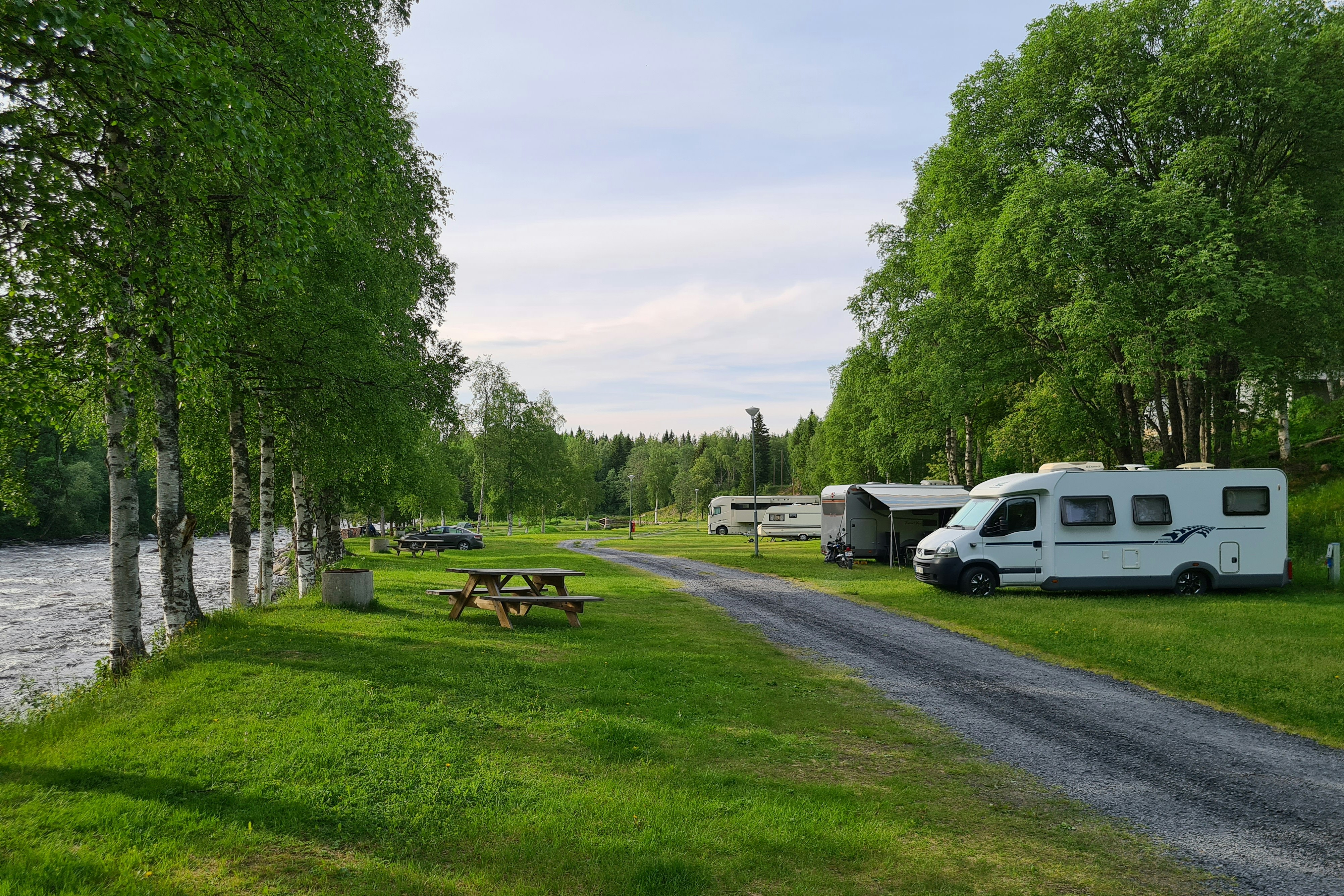 Camp Dammån AB - Blick auf die Stellplätze auf dem Campingplatz