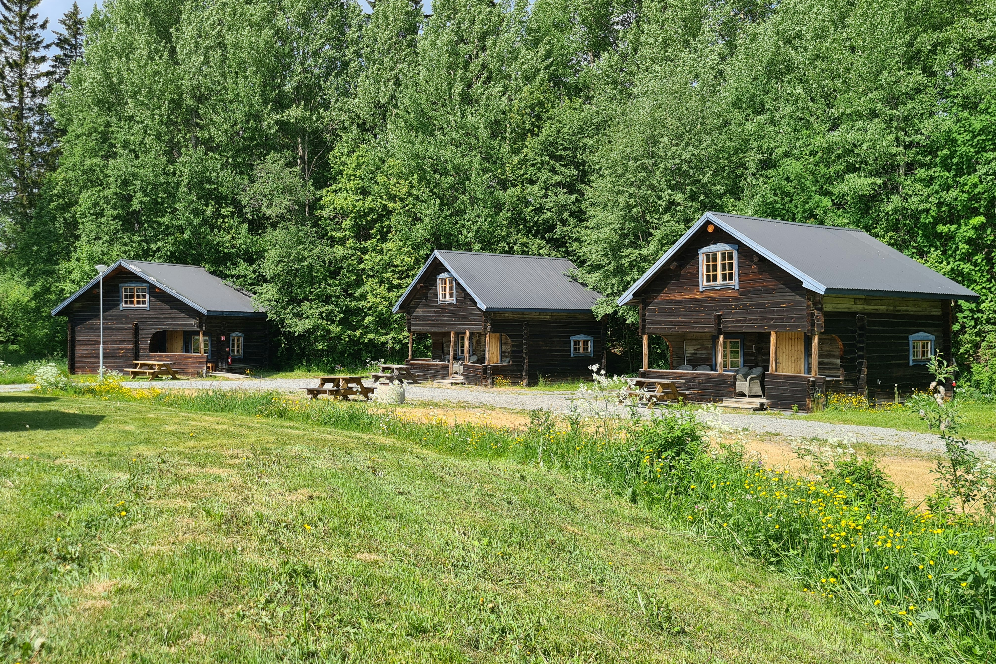 Camp Dammån AB - Mobilheim-Hütten auf dem Campingplatz