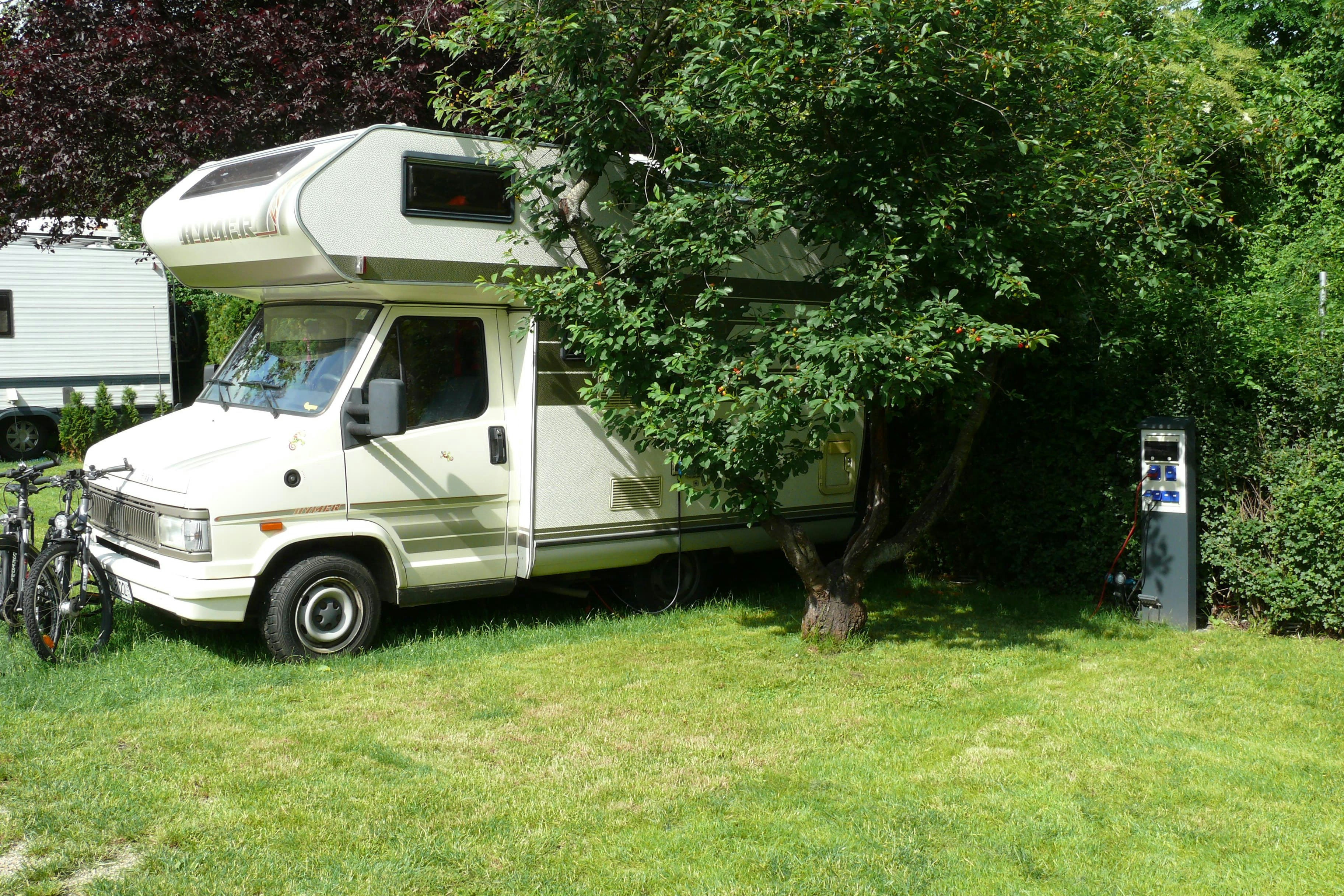 Camp Dana Troja - Standplatzwiese auf dem Campingplatz
