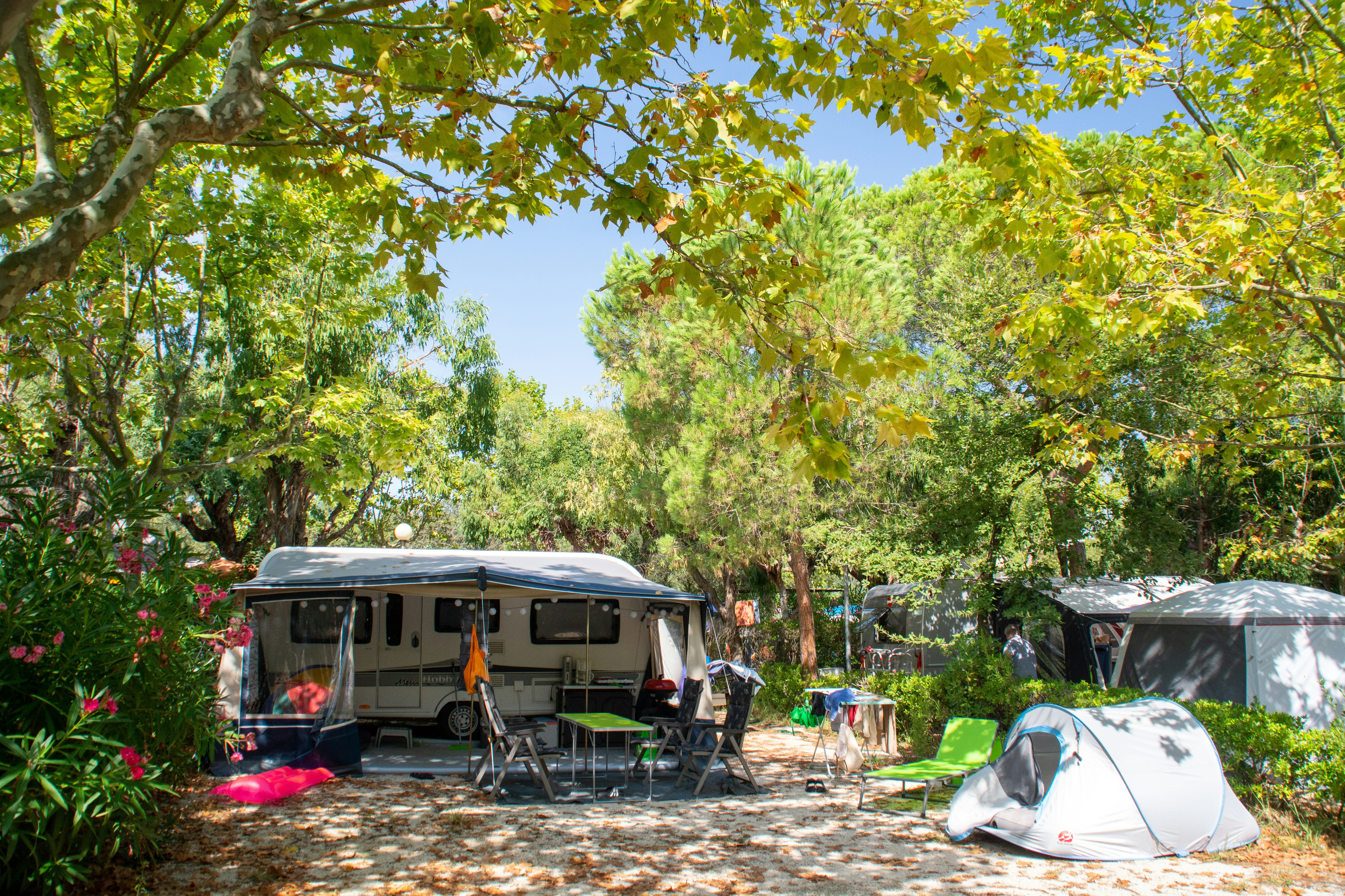 Camp du Domaine - Stellplätze im Schatten der Bäume