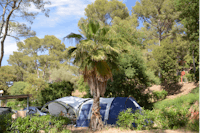 Camp du Domaine - Zeltplätze im Grünen