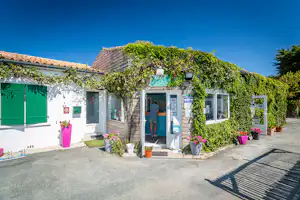 Campinghaus mit grünen Kletterpflanzen, Eingangstür und Fenstern, davor Kiesweg und Töpfe mit Blumen.