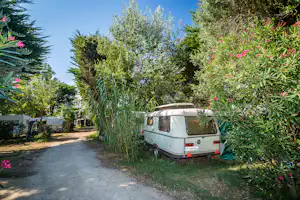Kleiner Wohnwagen am Campingplatz auf einem Kiesweg zwischen Büschen und Bäumen, mit Hecke und Blumen im Hintergrund.