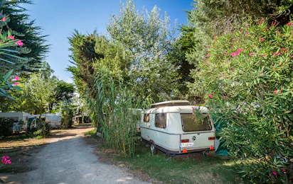 Camp du Soleil