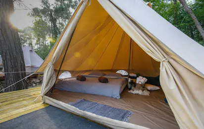 Camp Dvor