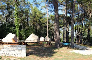 Camp Dvor