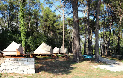 Camp Dvor