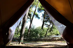 Blick aus dem Zelt auf hohe Bäume im Campingwald, Steinmauer und Zeltplane im Vordergrund.