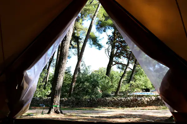 Camp Dvor
