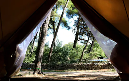 Camp Dvor