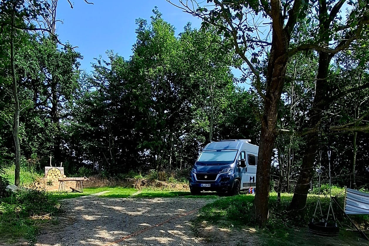Camp Easter Egg - Standplätze zwischen den Bäumen auf dem Campingplatz