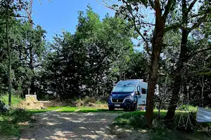 Camp Easter Egg - Standplätze zwischen den Bäumen auf dem Campingplatz