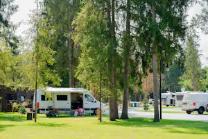 Camp Gorący Potok - Standplätze zwischen den Bäumen auf dem Campingplatz