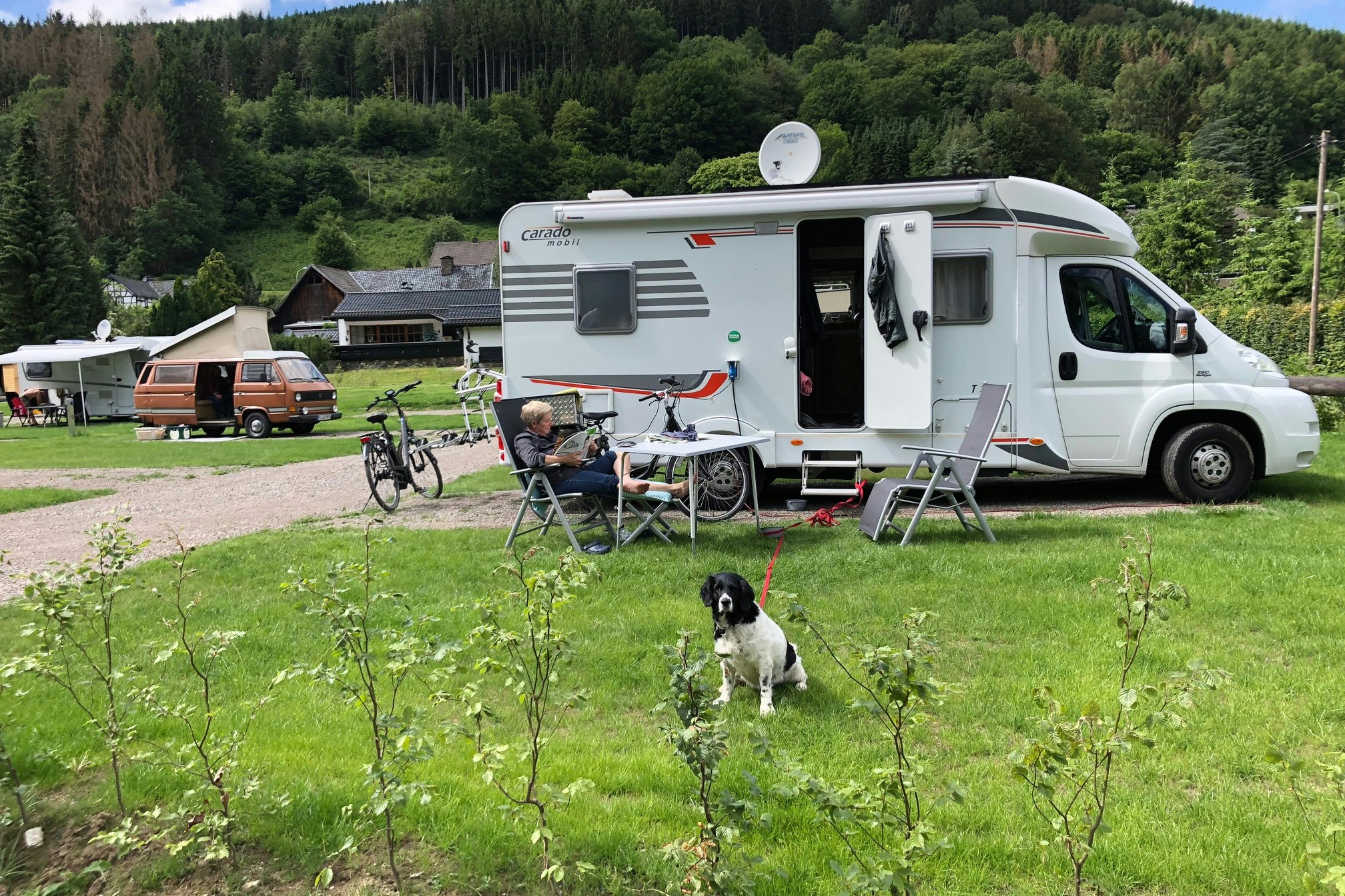 Camp Hammer - Standplatzwiese auf dem Campingplatz