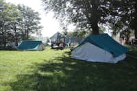 Camp Kod Boce - Zeltplätze im Schatten der Bäume
