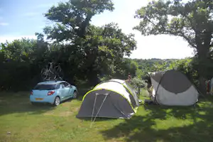 Campingzelte auf einer Wiese, daneben ein Auto und ein Fahrradträger unter großen Bäumen.