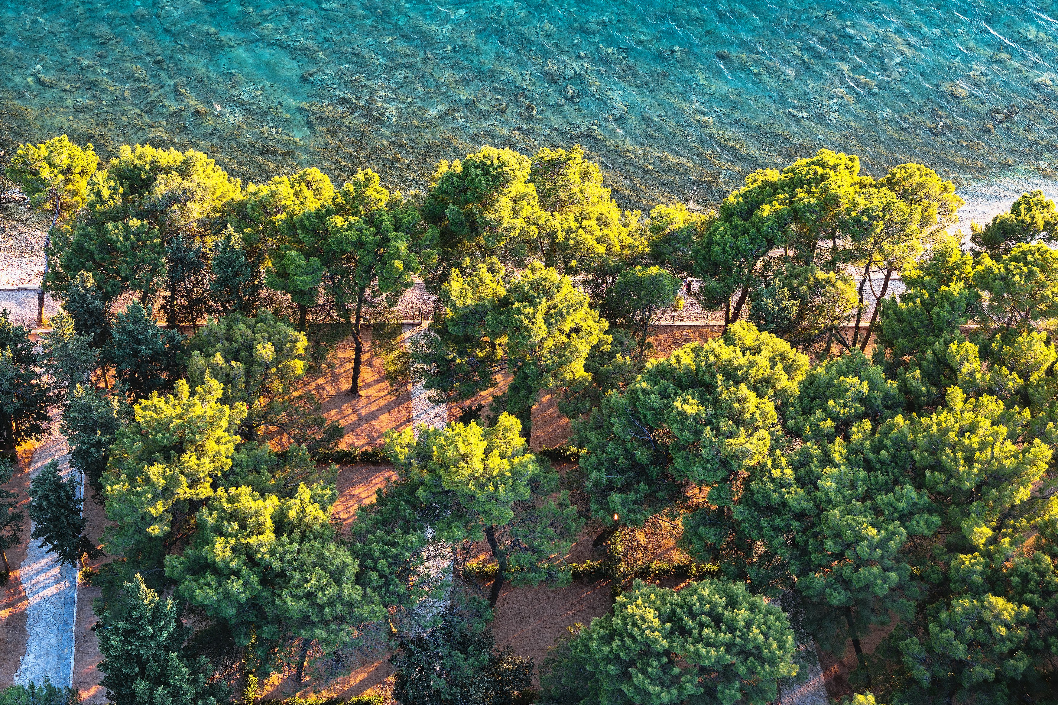 Camp Ljutić