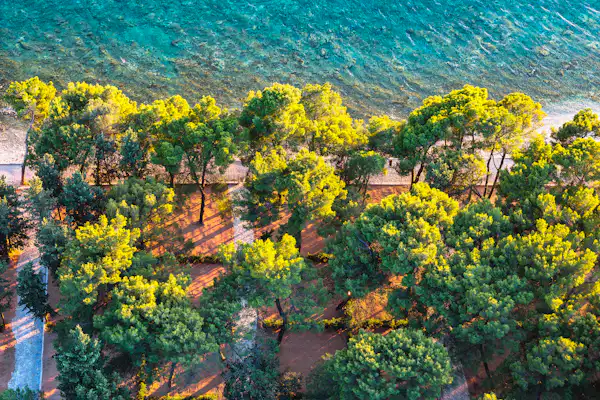Camp Ljutić