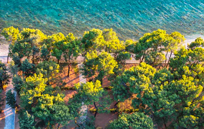 Camp Ljutić