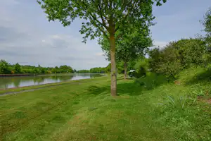 Grüner Uferweg am See mit Baum und Rasenfläche, ruhiges Wasser und bewaldete Uferlinie im Hintergrund.