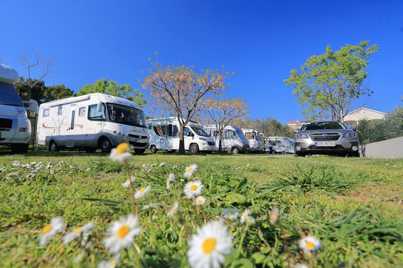 Camp Matea - Wohnmobil un Wohnwagen Stellplaetze auf der Blumenwiese