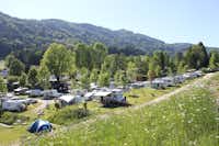 Camp MondSeeLand  -  Wohnwagen- und Zeltstellplatz auf grüner Wiese