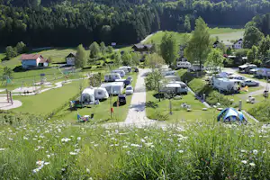 Camp MondSeeLand - Wohnwagen- und Zeltstellplatz zwischen Bäumen auf dem Campingplatz