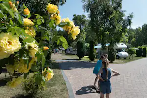 Camp Morski (Nr. 21) - Campingplatz Stellplätze und Spielende Gäste