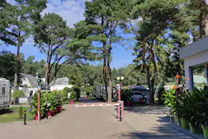 Camp Morski (Nr. 21) - Eingang des Campingplatz