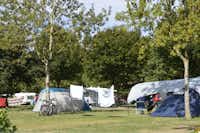 Camp Municipal l'Île d'Or  -  Wohnwagen- und Zeltstellplatz vom Campingplatz auf grüner Wiese