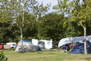 Campingplatz mit mehreren Zelten und Wohnwagen, Fahrräder am Rand und Bäume im Hintergrund.