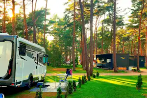 Wohnmobil auf dem Campingplatz im Wald, grüner Rasen und weitere Fahrzeuge zwischen hohen Bäumen.
