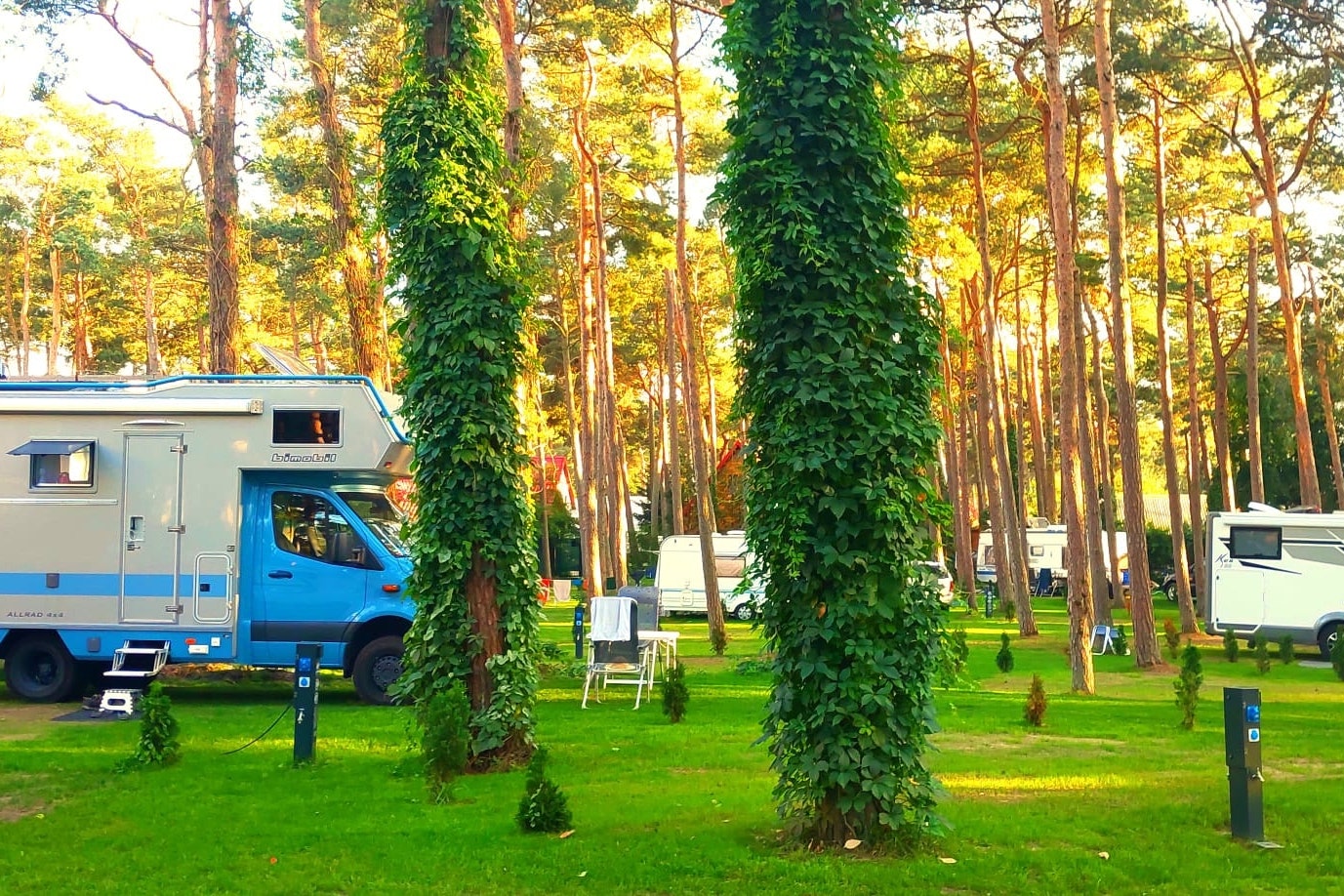 Camp Na Wydmie - Standplätze auf dem Campingplatz