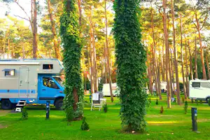 Wohnwagen und Campingfahrzeug auf einem Stellplatz im grünen Wald, mit Tisch und Stühlen zwischen hohen Bäumen.