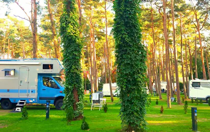 Camp Na Wydmie