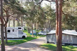 Wohnwagen und Zelte auf einem Campingplatz zwischen hohen Bäumen, mit gepflastertem Weg und geparkten Autos.