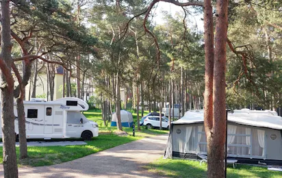 Camp Na Wydmie