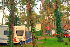 Wohnwagen und Wohnmobil auf einem Campingplatz im Wald, mit Autos, Rasenfläche und Bäumen zwischen den Stellplätzen.