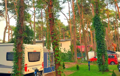 Camp Na Wydmie