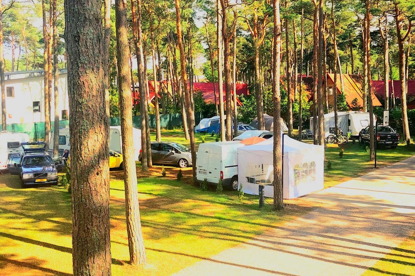 Camp Na Wydmie - Standplätze zwischen den Bäumen