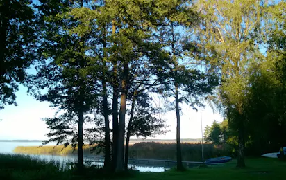 Camp Park Sonata