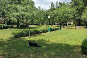 Grüne Wiese auf einem Campingplatz mit Bäumen, Hecken und einem Hund, der im Gras liegt.