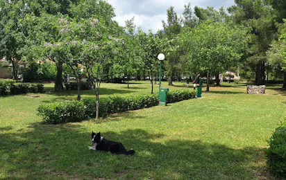 Camp Paron Šime
