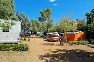 Wohnmobil und orangefarbenes Zelt auf einem Campingplatz-Stellplatz, mit Büschen, Bäumen und einem orangefarbenen Auto.