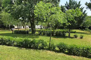 Grüner Campingplatz mit Rasenflächen, Bäumen und Hecken, im Hintergrund ein Wohnwagen und ein Weg.