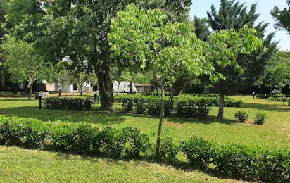 Camp Paron Šime
