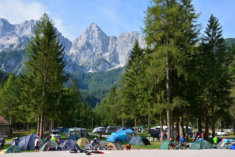 Camp Špik -  Zeltplatz im Schatten der Bäume mit Blick auf die Berge 