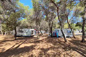 Camp Porat - Standplätze auf dem Campingplatz