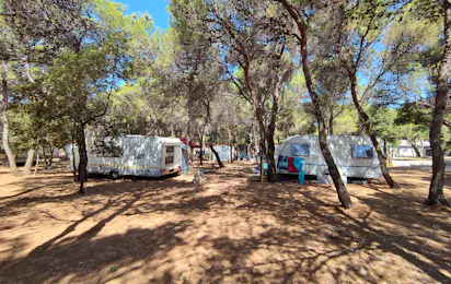 Camp Porat